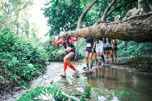 BIB: 
                            <button type="button" onclick="openModal(25465271)" class="btn btn-primary btn-sm float-right btn-popup" data-toggle="modal" data-target=".modal-high-quality">
                        <i class="fas fa-shopping-cart"></i> Add to Cart
                    </button>
                                            <button type="button" onclick="isThisMe(25465271, true)" class="btn btn-success btn-sm float-right btn-popup btn-isme hidden" data-toggle="tooltip" data-placement="bottom" title="นี่คือรูปของคุณใช่ไหม คลิกที่นี่เพื่อเอาเข้าอัลบั้ม">
                        <i class="fas fa-plus"></i> Add to album
                    </button>
                    <button type="button" onclick="isThisMe(25465271, false)" class="btn btn-warning btn-sm float-right btn-popup btn-isnotme hidden">
                        <i class="fas fa-ban"></i> Remove from album
                    </button>